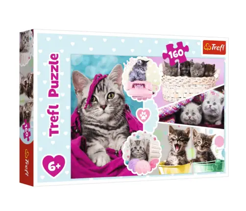 Puzzle 160 pcs. Cute cats Trefl 15371