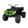 Elektriskais kvadracikls bērniem BDM 0909 Green 24V