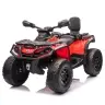 Электрический квадроцикл для детей Can Am Outlander 4x4 DK-CA005 Red