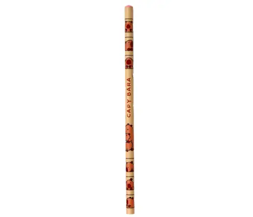 Capybara Sketch Pencil Set 12 Pieces