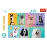 Puzzle - In the world of dogs - Trefl 16421