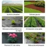 Black agrotextile 1.1x50m UV 135g anti-weed agrotextile + anchors