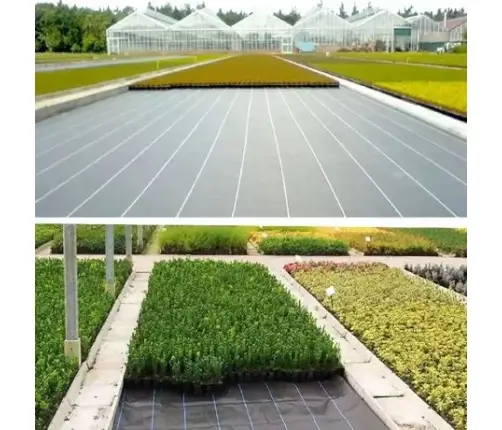 Black agrotextile 1.1x100m UV 135g anti-weed agrotextile + anchors