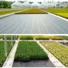 Black agrotextile 1.1x100m UV 135g anti-weed agrotextile + anchors