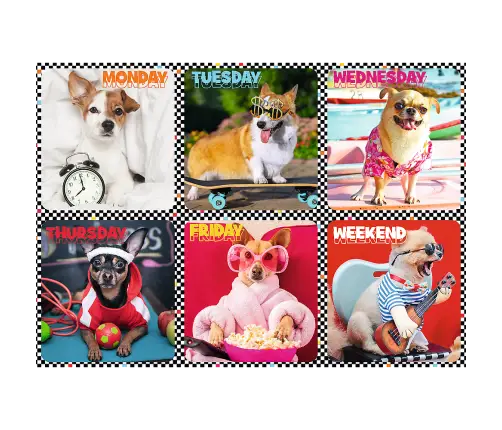 Puzzle - 200 - Happy dogs - Trefl 13279