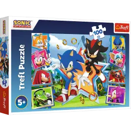 Puzzle - "100" - Meet Sonic Trefl 16465