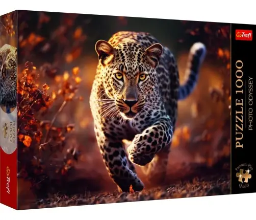 Puzzle - 