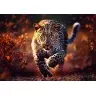 Puzzle - 