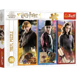 Harry Potter Puzzle 200 pcs. In the world of magic and sorcery Trefl 13277