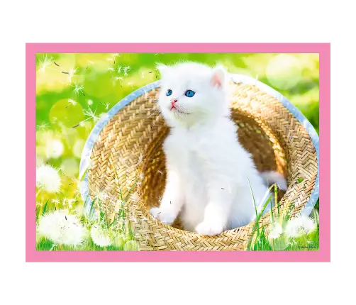 Puzzle -  Puzzle -