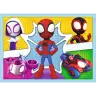 Puzzle -  Puzzle -