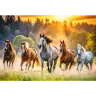 Puzzle - 1500 - Wild Horses Trefl 26215