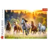 Puzzle - 1500 - Wild Horses Trefl 26215
