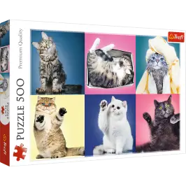 Puzzle 500 pcs. Kittens Trefl 37377