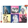 Puzzle 500 pcs. Kittens Trefl 37377