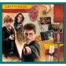 Puzzle 10in1 Harry Potter In the world of Harry Potter 90392