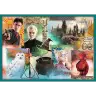 Puzzle 10in1 Harry Potter In the world of Harry Potter 90392