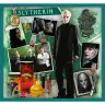 Puzzle 10in1 Harry Potter In the world of Harry Potter 90392