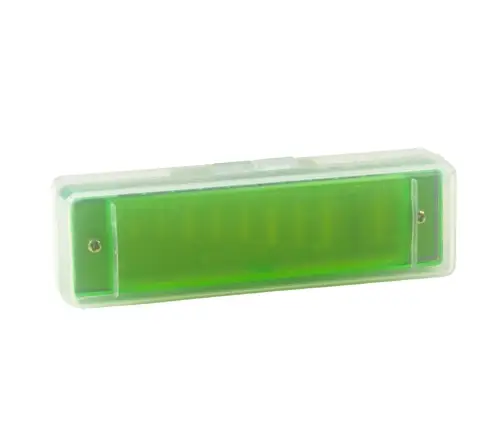 10-Hole Harmonica for Beginners, Green Case