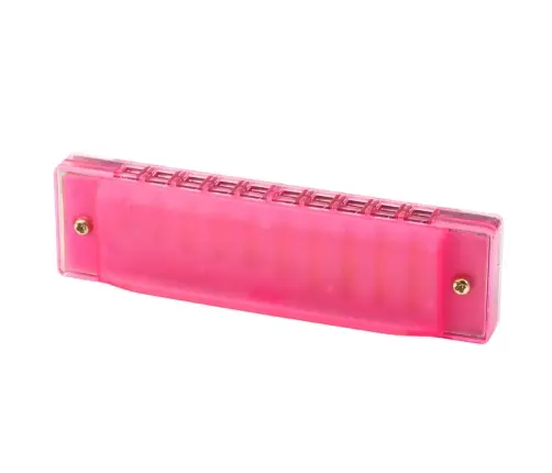10-Hole Harmonica for Beginners, Pink Case