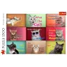 Trefl 26212 Funny Cat Portraits 1500 Piece Puzzle