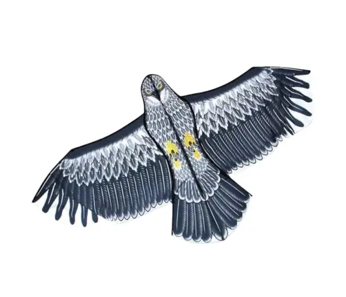 Eagle Bird-Shaped Kite with Rope Handle 150 x 70cm