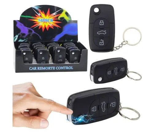 Keychain Car Remote Control LED Flashlight Shock 2 in 1