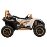 Arctic Cat WILDCAT XX 24V14AH White Battery Buggy Vehicle