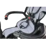 PRO550 Gray Tricycle