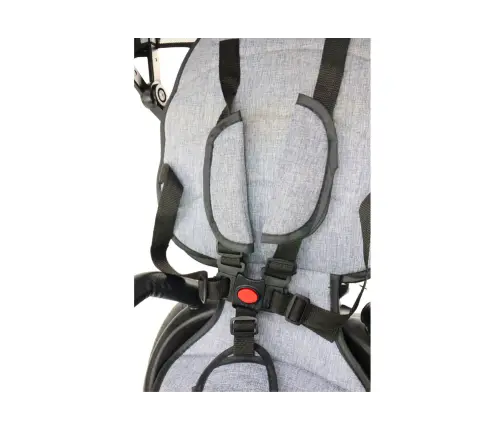 PRO550 Gray Tricycle