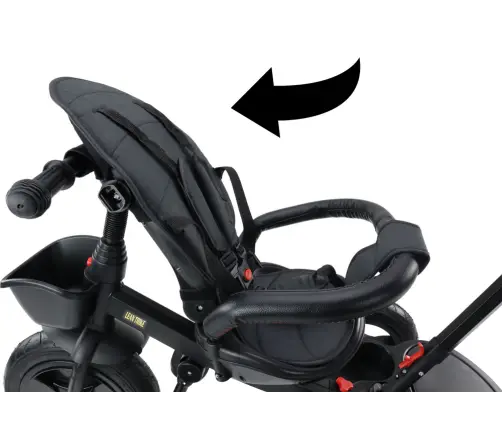 Трёхколёсный велосипед PRO550 Black