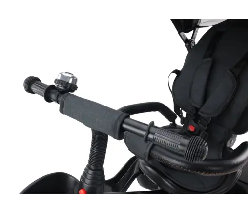 Трёхколёсный велосипед PRO550 Black