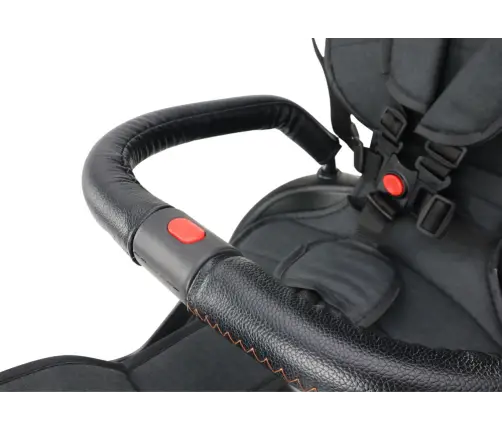 Трёхколёсный велосипед PRO550 Black