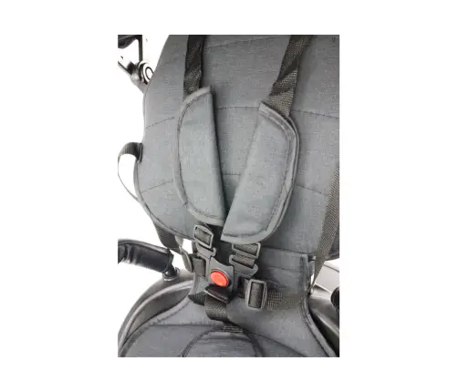 Трёхколёсный велосипед PRO550 Black