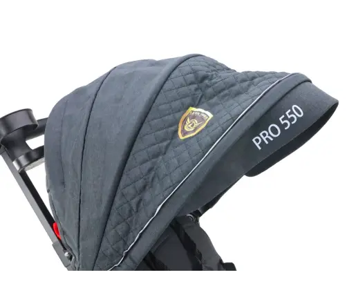 Трёхколёсный велосипед PRO550 Black