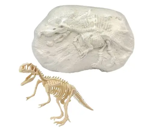 Paleontologist Excavation Kit Dinosaur Skeleton Tools