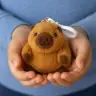 Plush Capybara with a Wiggle Tail Keychain 9 x 8 cm