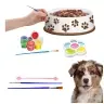 Creative Set Dog Bowl For Painting Paints Brushes DIY 6 pcs.