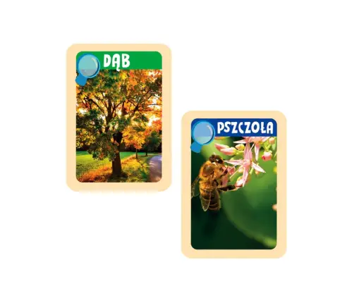 Scientific Fun Nature Explorers Nature Binoculars Polish Language Clementoni 50894