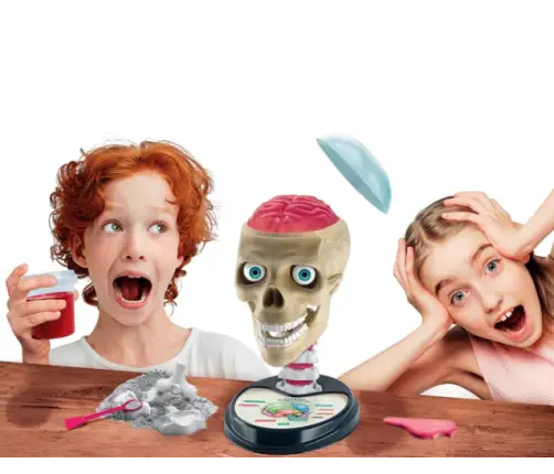 Scientific Fun Crazy Anatomy Kit Clementoni 50697