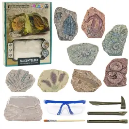 Paleontology Excavation Kit Plaster Block Tools