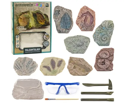 Paleontology Excavation Kit Plaster Block Tools