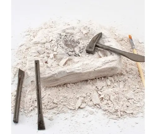 Paleontology Excavation Kit Plaster Block Tools