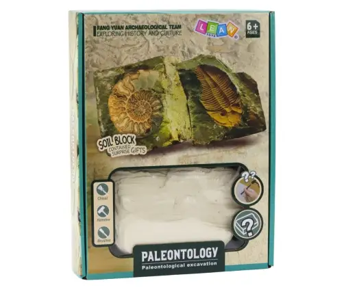 Paleontology Excavation Kit Plaster Block Tools