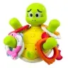 Interactive Turtle Bath Toy with Fountain and Colorful Circles