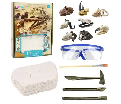 Archaeology Excavation Set Skulls Bones Tools Accessories