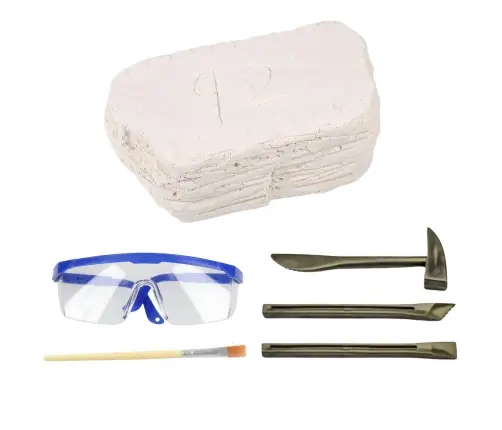 Archaeology Excavation Set Skulls Bones Tools Accessories