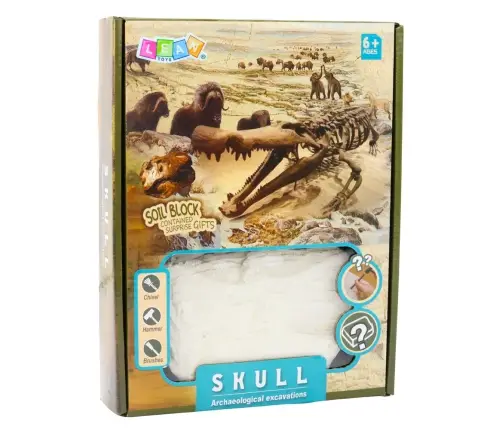 Archaeology Excavation Set Skulls Bones Tools Accessories