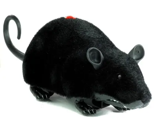 Radiovadāma pele Black