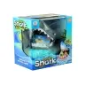 Crazy Shark Catch The Fish Family Game Crazy Shark Catch The Fish Family Game